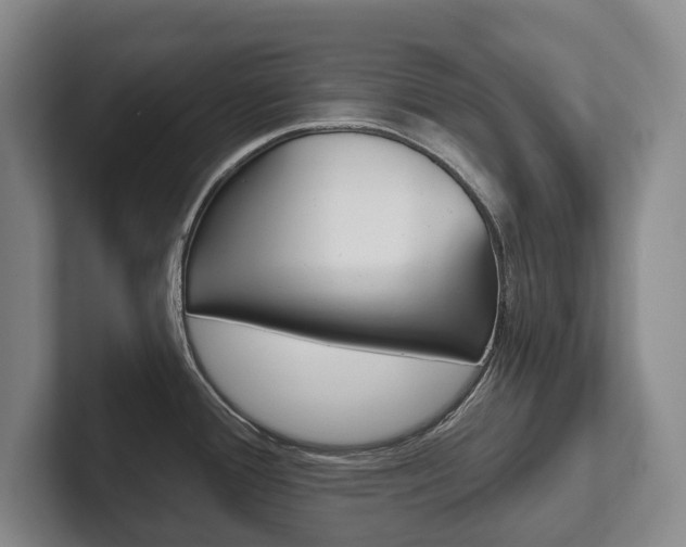 X0000102281388200807250932