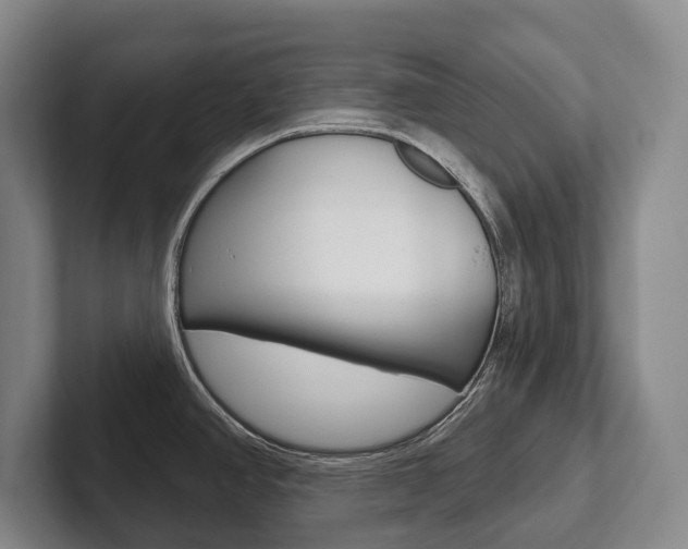 X0000102281390200807250932