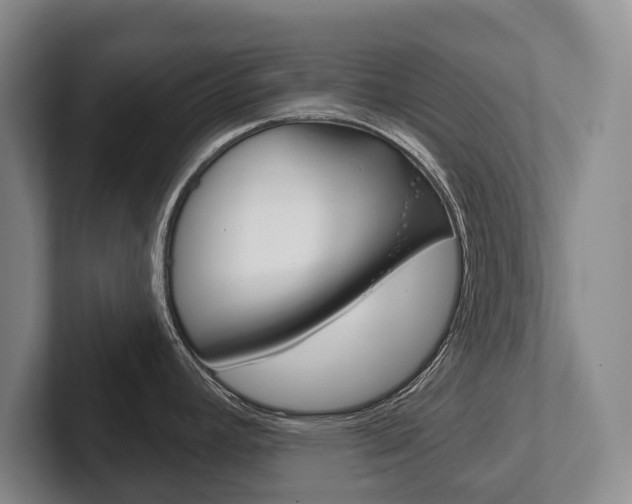 X0000102281392200807250932