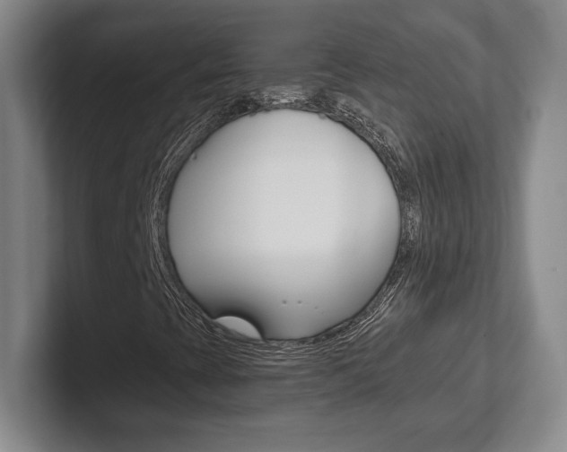 X0000102281393200807250932