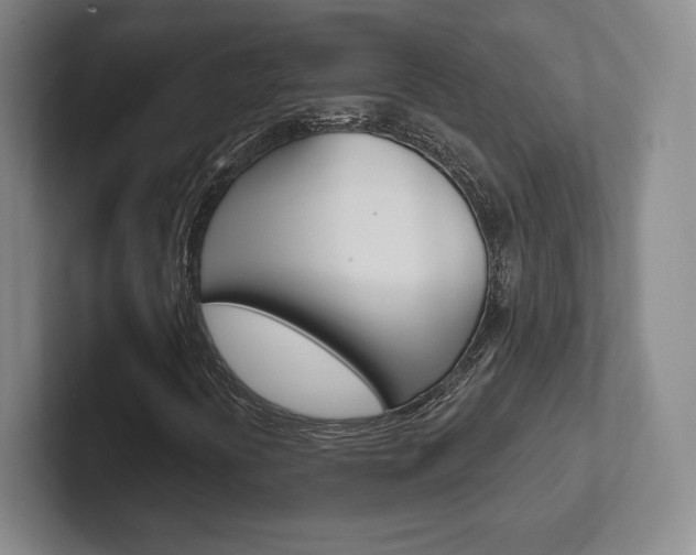 X0000102281394200807250932