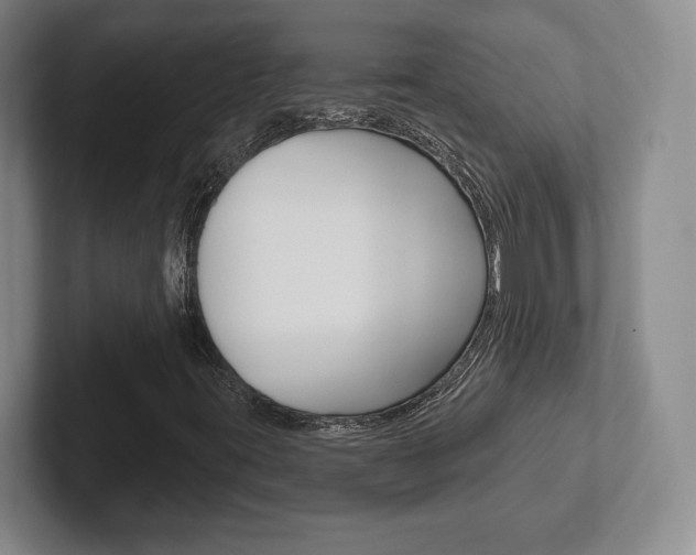 X0000102281395200807250932