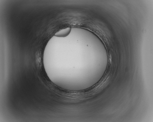 X0000102281396200807250932