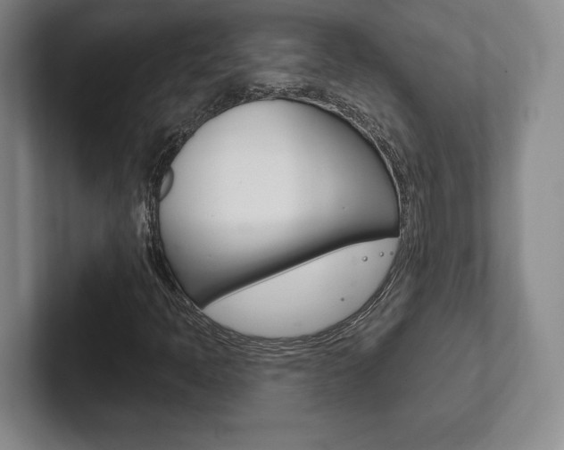 X0000102281397200807250932