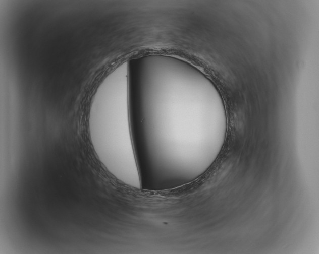X0000102281398200807250932