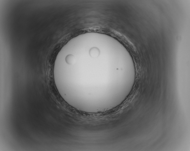 X0000102281399200807250932