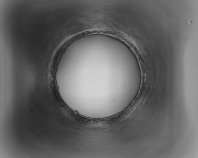 X0000102281400200807250932