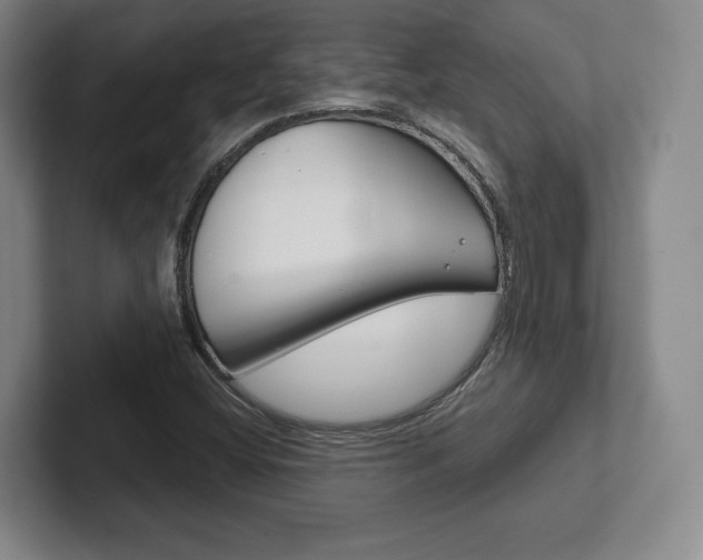 X0000102281404200807250932