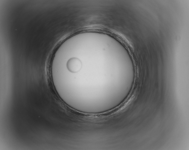 X0000102281405200807250932