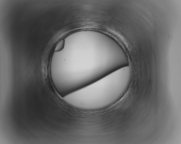 X0000102281407200807250932