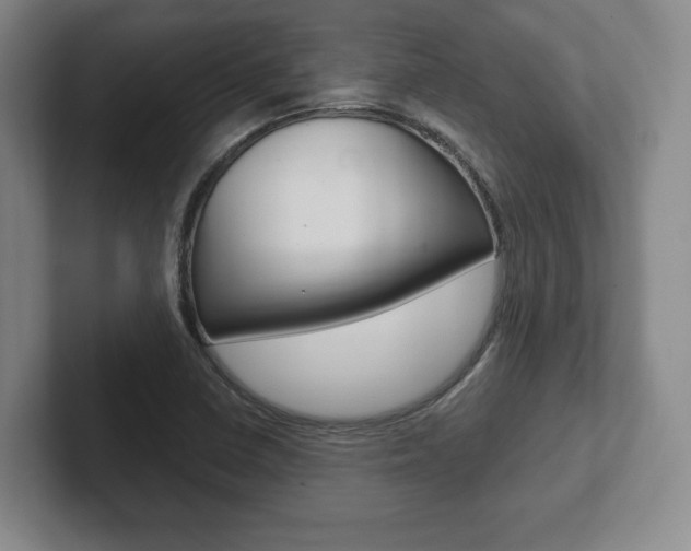 X0000102281410200807250932
