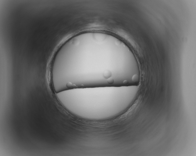 X0000102281413200807250932