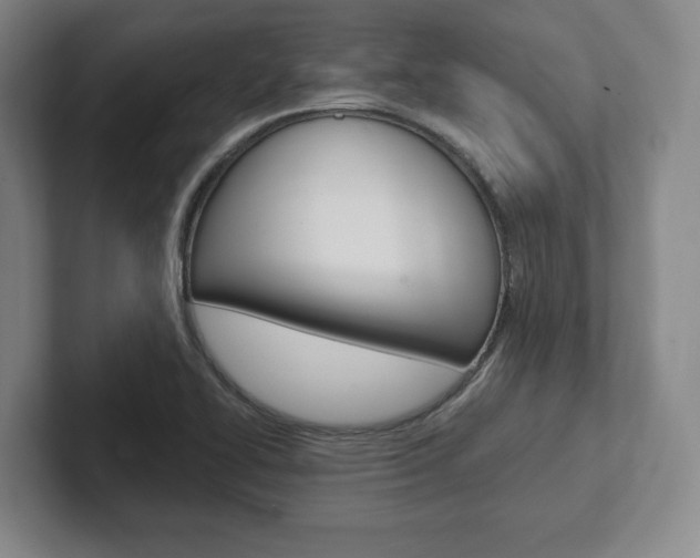 X0000102281414200807250932