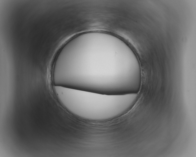 X0000102281415200807250932