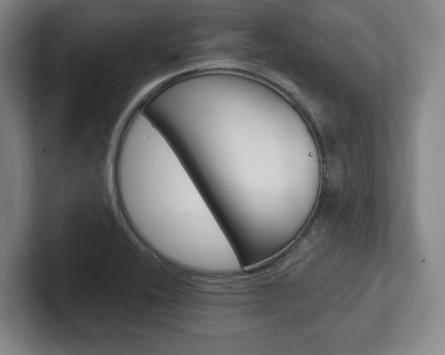 X0000102281416200807250932