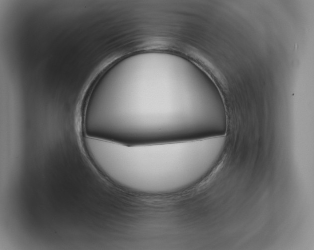 X0000102281418200807250932