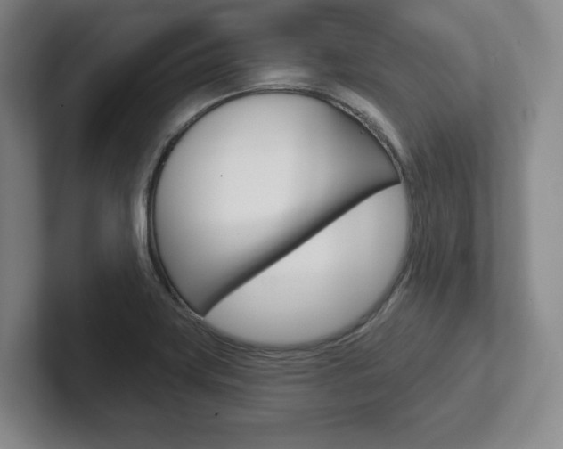 X0000102281419200807250932