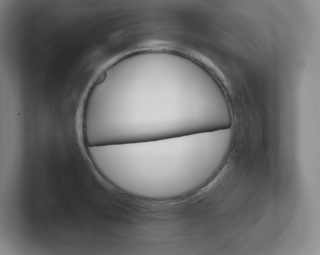 X0000102281421200807250932