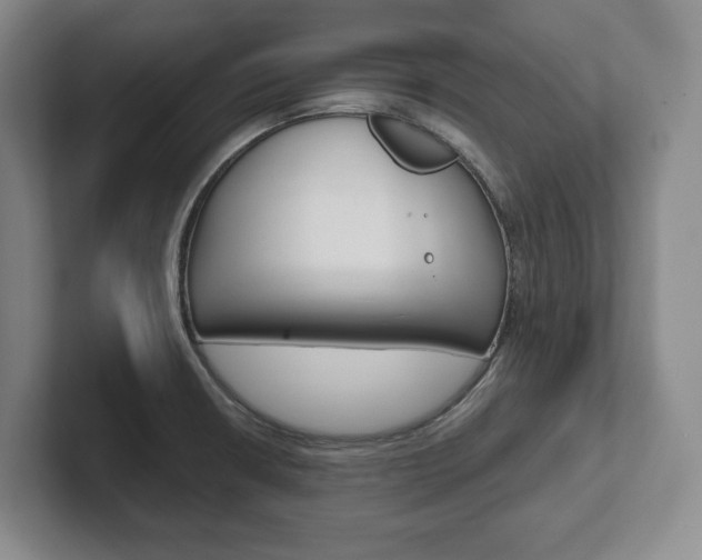 X0000102281426200807250932