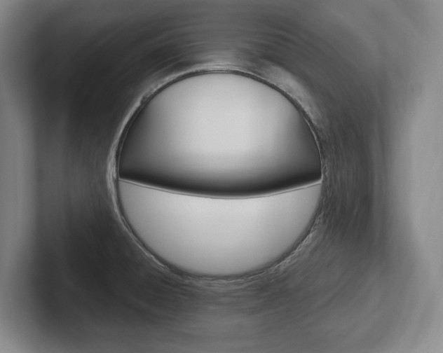 X0000102281428200807250932