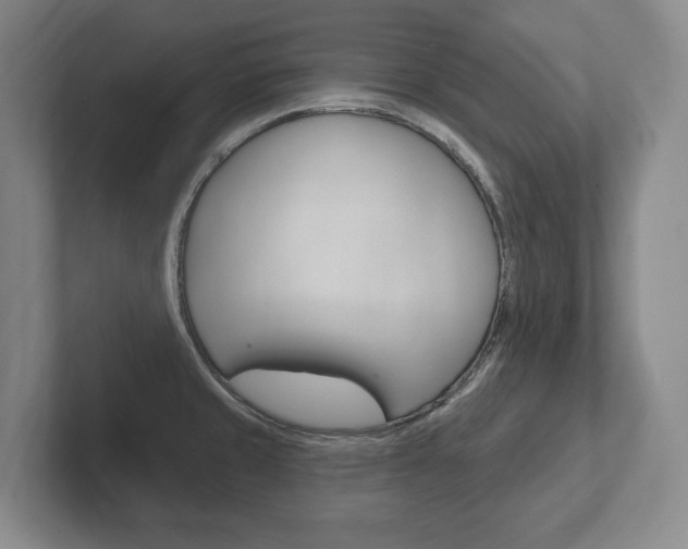 X0000102281429200807250932