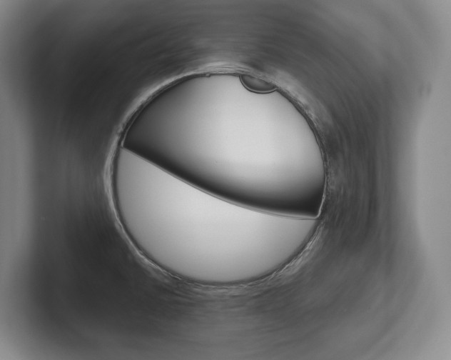 X0000102281430200807250932
