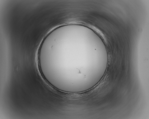 X0000102281431200807250932