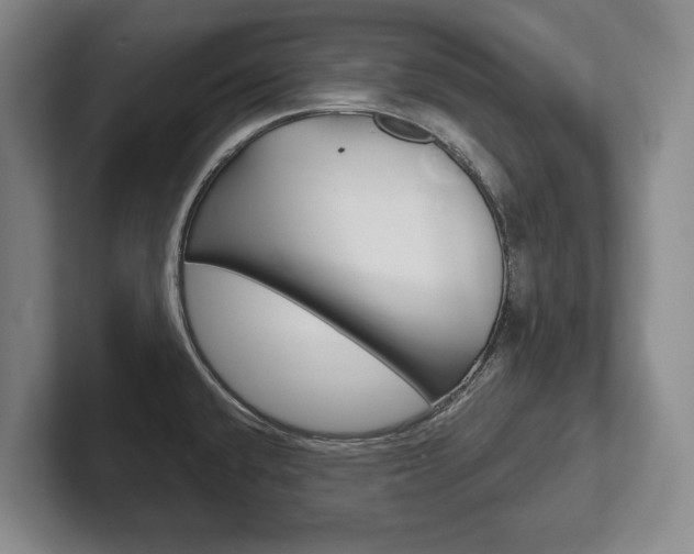 X0000102281432200807250932