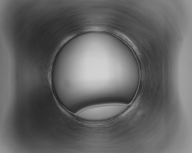 X0000102281433200807250932
