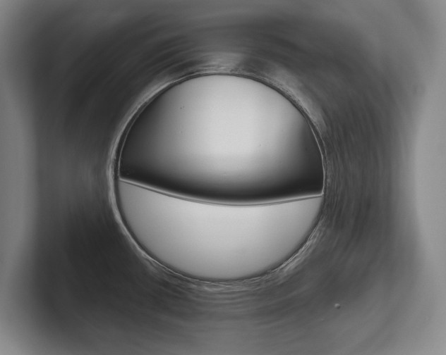 X0000102281434200807250932