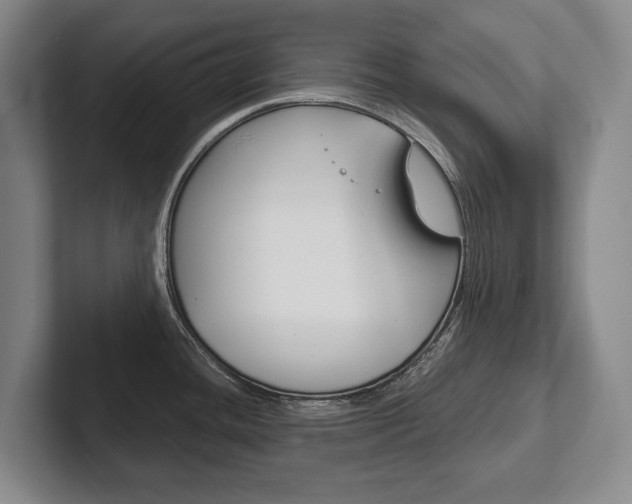 X0000102281436200807250932