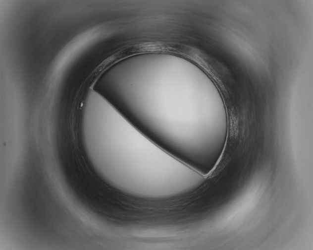 X0000102281438200807250932
