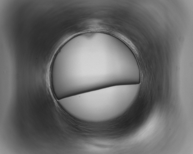 X0000102281439200807250932