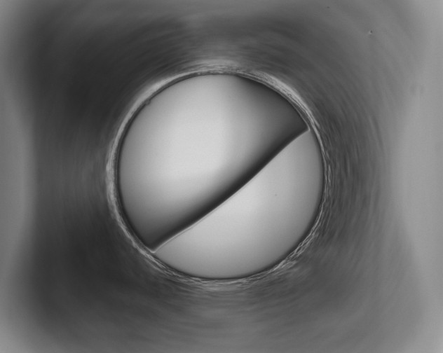 X0000102281440200807250932