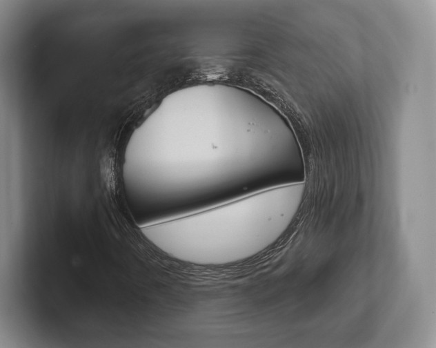 X0000102281442200807250932