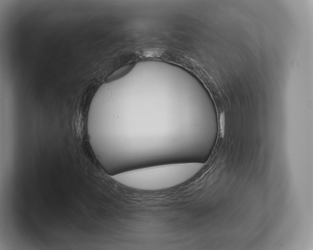 X0000102281443200807250932