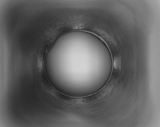 X0000102281444200807250932