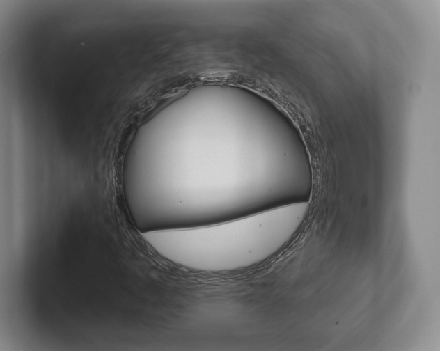 X0000102281445200807250931