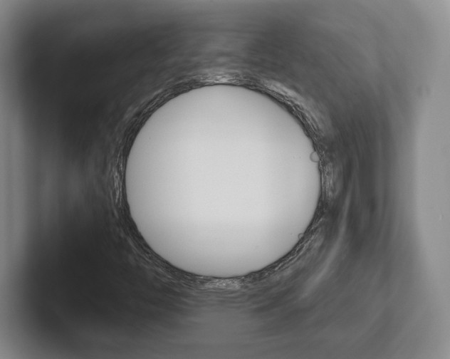 X0000102281446200807250931