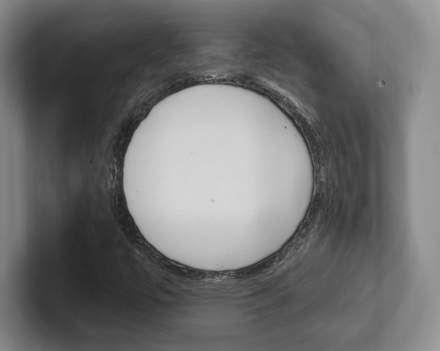 X0000102281447200807250931