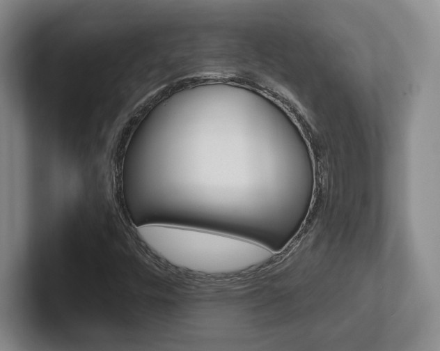 X0000102281448200807250931