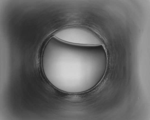 X0000102281450200807250931