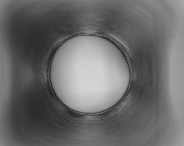 X0000102281451200807250931