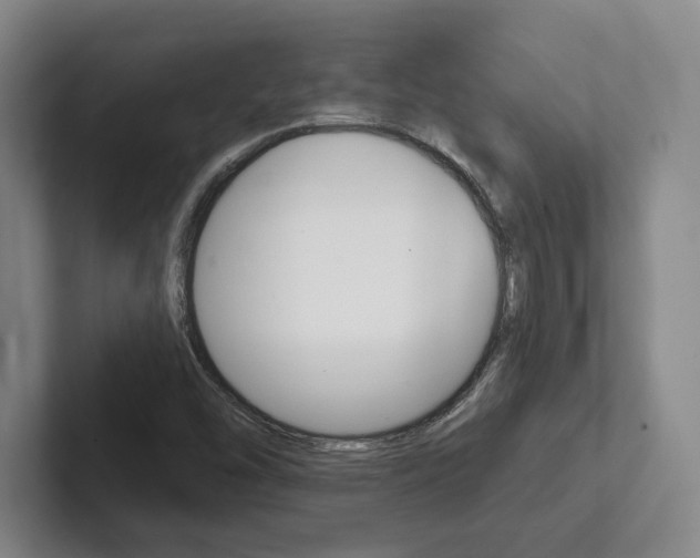 X0000102281454200807250931