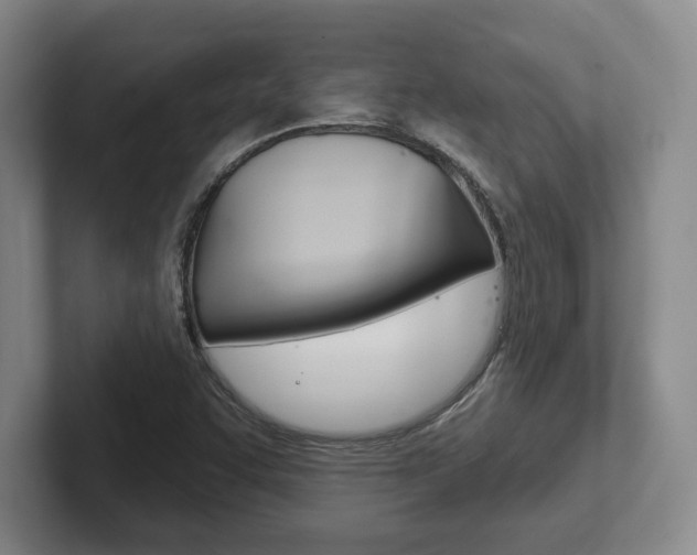 X0000102281455200807250931