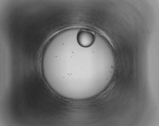 X0000102281456200807250931