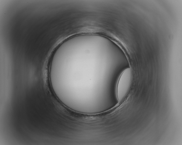 X0000102281459200807250931