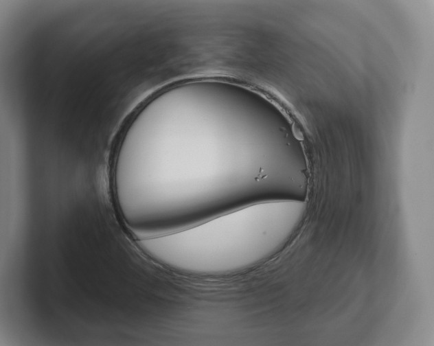 X0000102281460200807250931