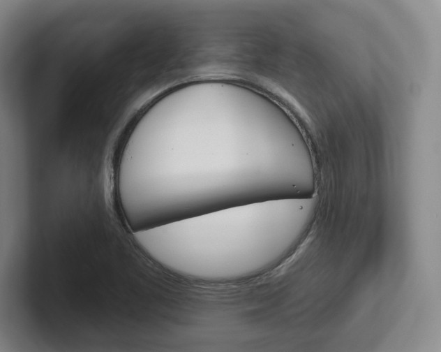 X0000102281461200807250931