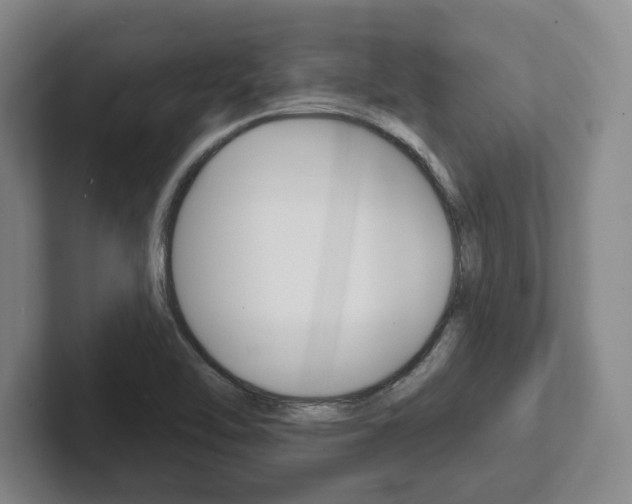 X0000102281462200807250931